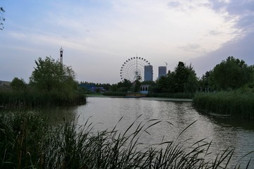354232