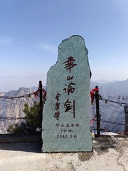 1000473202