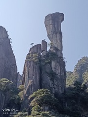 1000473619