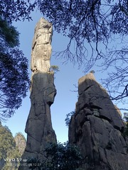 1000473623