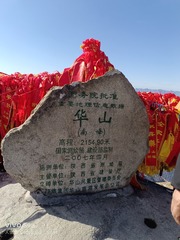 1000473085