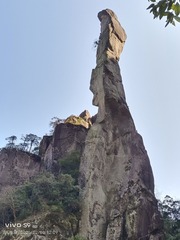 1000473621