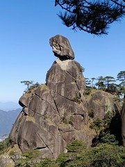 1000473624