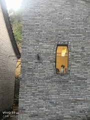 1000433691