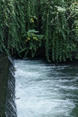 4B616BA7-036B-488B-A06B-BD02FD987768/L0/001