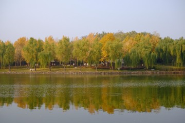 74DA6747-CBA1-4F43-90C6-5AEA8F026B3D/L0/001