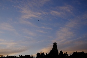 1C4818ED-ECB4-4812-8BBE-53E5716505BA/L0/001