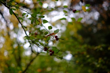 E5AEA640-6683-4566-BC01-C737E618F113/L0/001