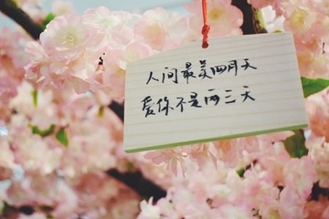 1254661