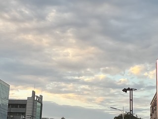 3E29FA11-8473-4F4F-81B3-E0EBF9AC94F5/L0/001