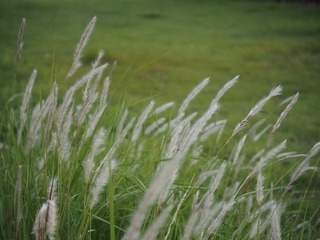 3F9ADFF2-9B62-4AEA-987C-5B71DC272B5E/L0/001