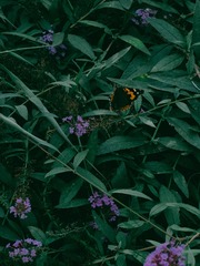6823C4E0-F633-4F76-8AB0-37B990106E89/L0/001