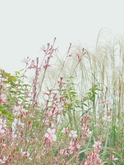 B7995F66-BE88-49A6-A91E-BAFD1E3AC79C/L0/001
