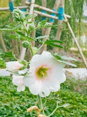 18A8402C-9BBF-4CC8-B07A-18D3B1AF7D57/L0/001