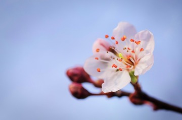 CE5D17DC-1633-4AED-B6C2-FC5CCFED77F5/L0/001