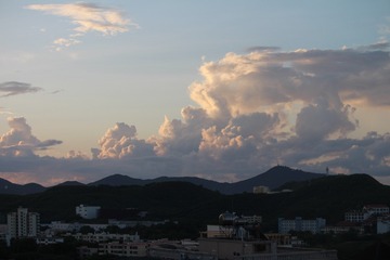 IMG_8239