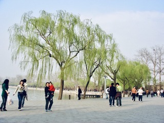 01F9B89B-1A26-478F-AA23-7071514B032A/L0/001