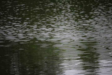 44BDCE4E-C682-45D8-A332-68E7EB295848/L0/001
