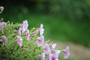 18B8A875-2134-4E4F-9928-9CBE6D6452FD/L0/001
