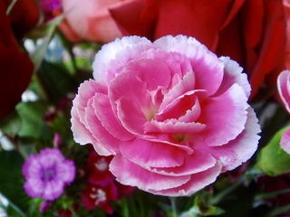 6C9000EB-AA1C-4405-9D8A-5B0BE8DE7B47/L0/001