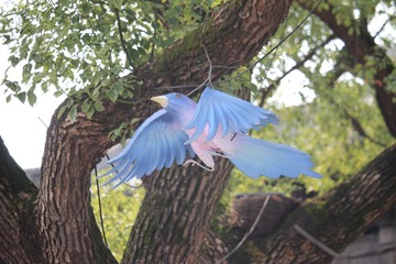IMG_9065
