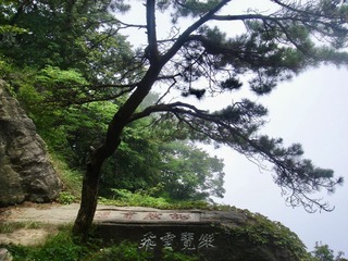 D46B917D-585B-4F38-9E53-E9D96019F6ED/L0/001