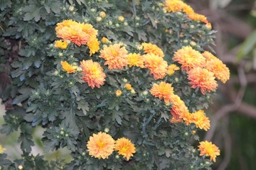IMG_9283