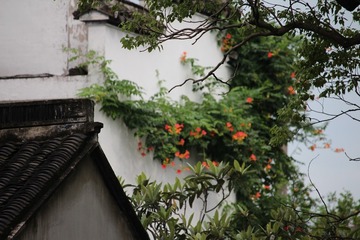 IMG_7108