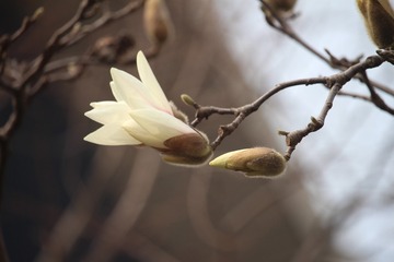 IMG_9881