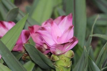 IMG_9279