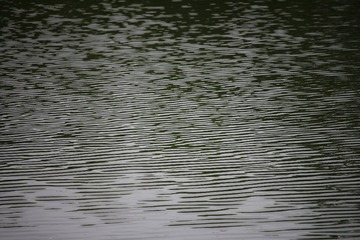 B1241C37-E074-497F-B5FD-E0B94C0CFB78/L0/001