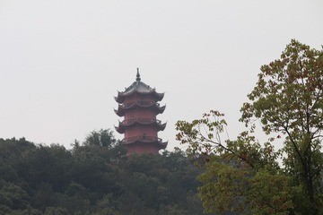 IMG_9037