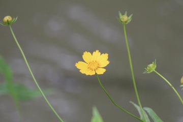 684F5F95-D97F-4FCA-B4DF-0C14A456B931/L0/001