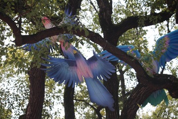 IMG_9064