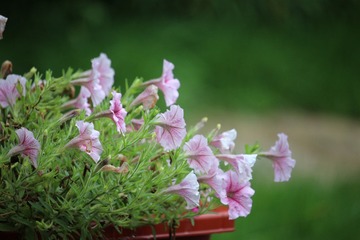 D658D7ED-326B-47F5-9205-6082A5DB5090/L0/001