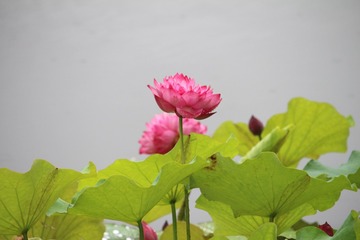 D14BF7E3-6715-475E-8D8A-9589614B3533/L0/001