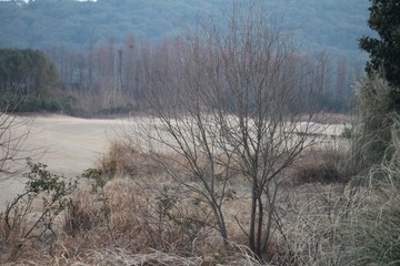 IMG_9797