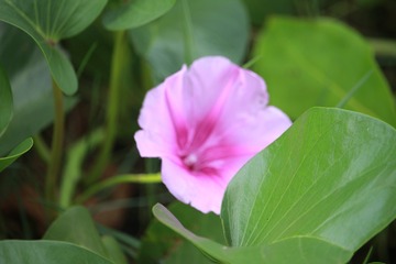 IMG_8676