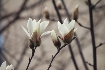IMG_9882