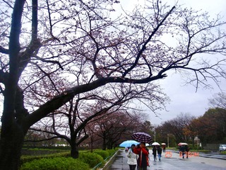 C9C21A71-B5D1-4691-A346-F32F0825F286/L0/001