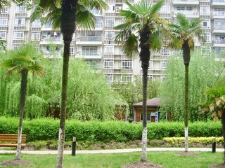 BD2CB232-30FA-439E-AB73-FDF0A30F2D48/L0/001