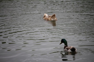 47E23C19-CCA5-4F13-8EF4-0F1266E0014A/L0/001