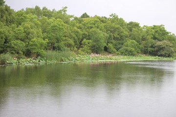 20AD2B77-78CB-455B-9EE5-8CC97AFB6C02/L0/001