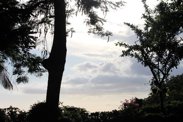 IMG_8090