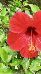 1AC70087-C183-454D-B9F0-3710BF535606/L0/001