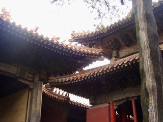 4BCA4076-A4AC-4AA6-807B-3A2A3D1A065D/L0/001