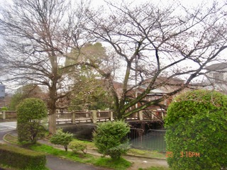 B99C6E44-910A-408D-A214-8CB70F2805E9/L0/001