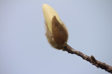 IMG_9910