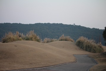 IMG_9780