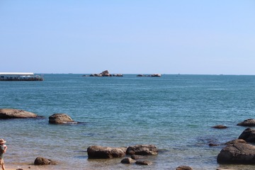IMG_8447
